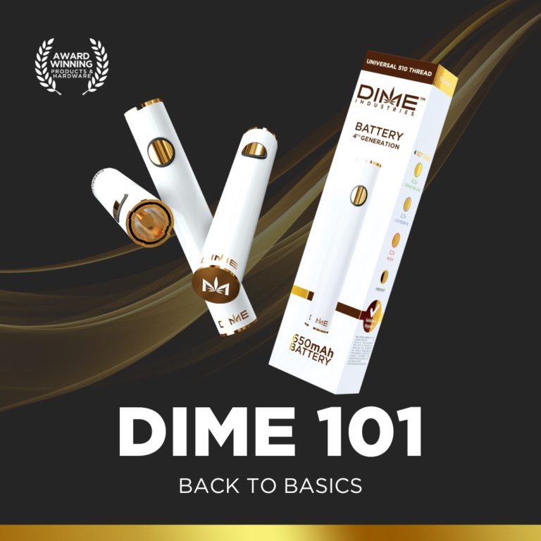 DIME 101: BACK TO BASICS